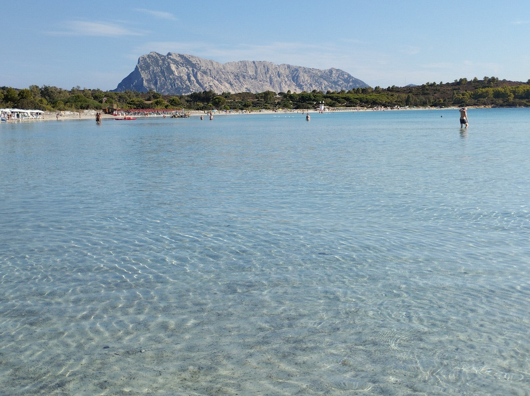 Cala Brandinchi-Capo Coda Cavallo必去景点