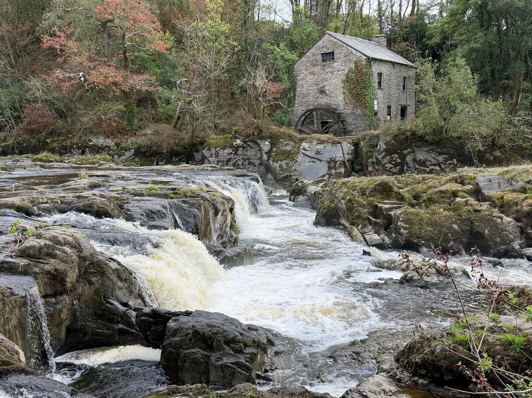 Cenarth Falls-Cenarth必去景点