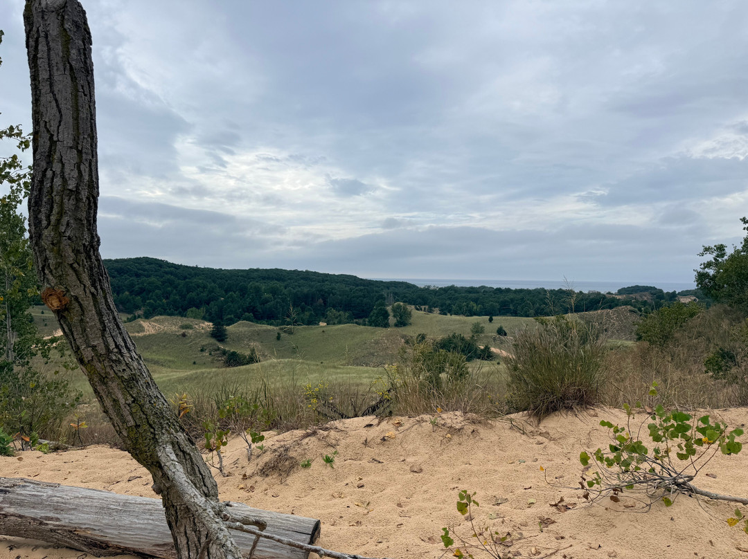 Saugatuck Dune Rides-索格塔克必去景点