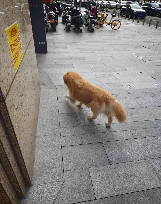 佛山南海瞻云酒店(千灯湖店)主图