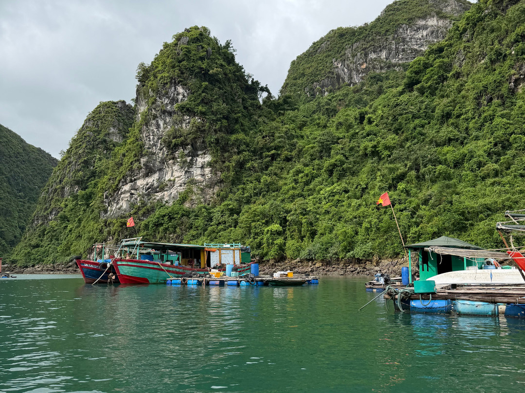 Bhaya Cruises-下龙湾必去景点