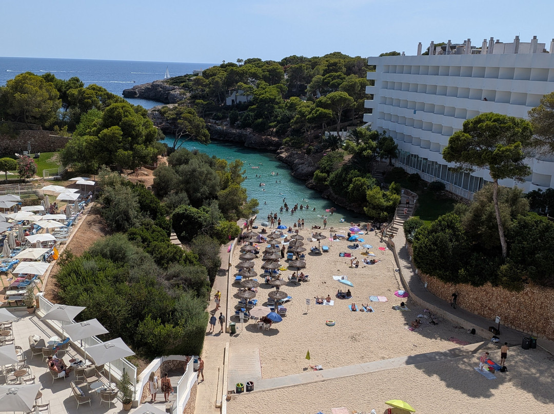 AluaSoul Mallorca Resort - Adults Only主图