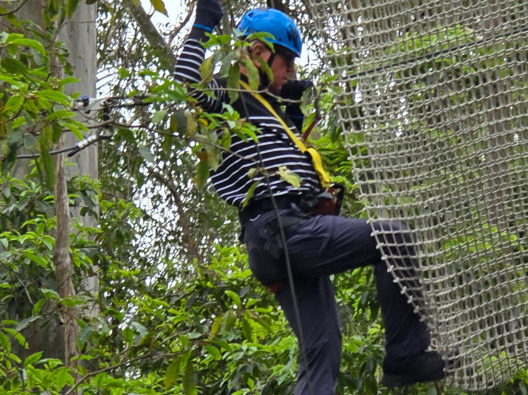 TreeTops Newcastle-纽卡斯尔必去景点