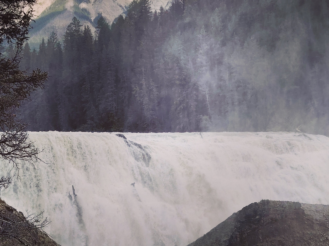 Wapta Falls-幽鹤国家公园必去景点