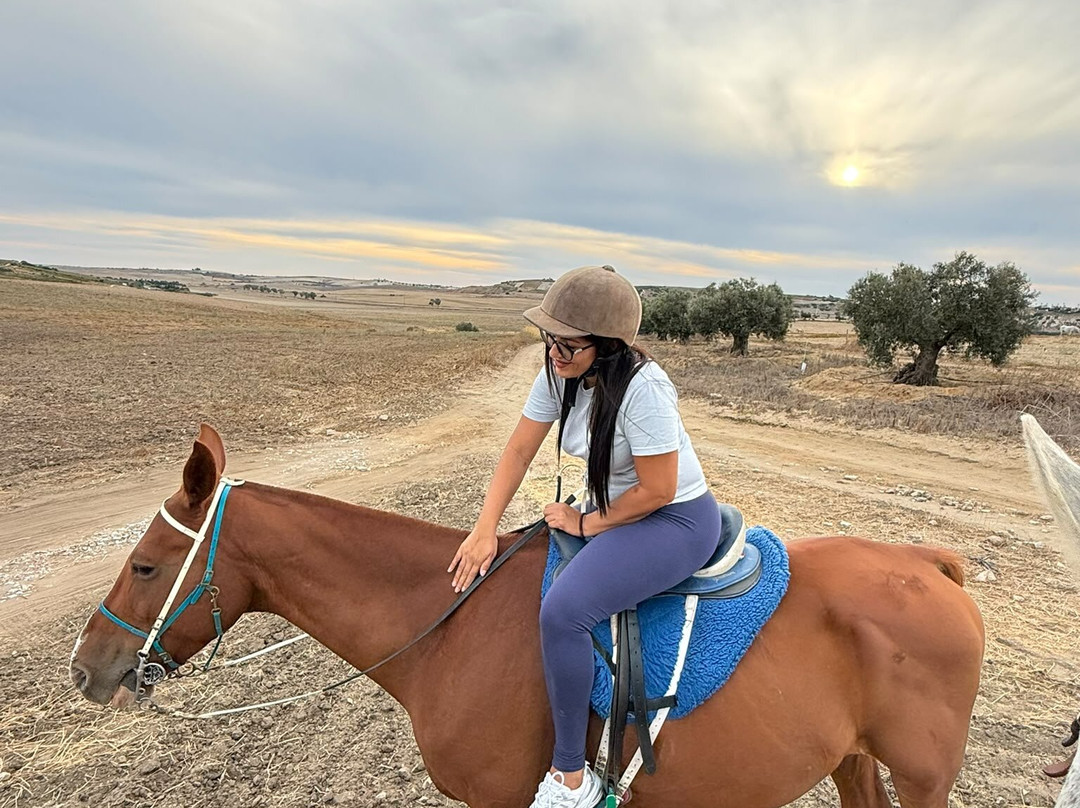 Al-Mesquid Stables-Sanlucar de Barrameda必去景点