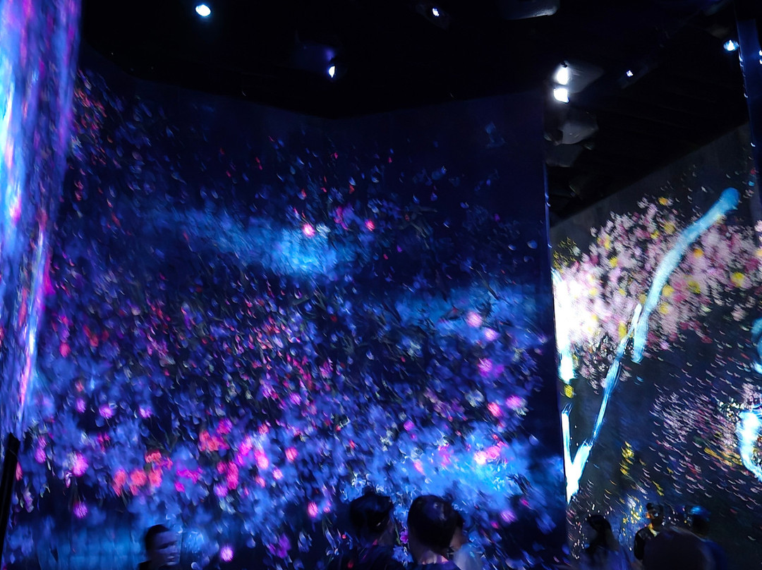 Teamlab Borderless Tokyo-港区必去景点