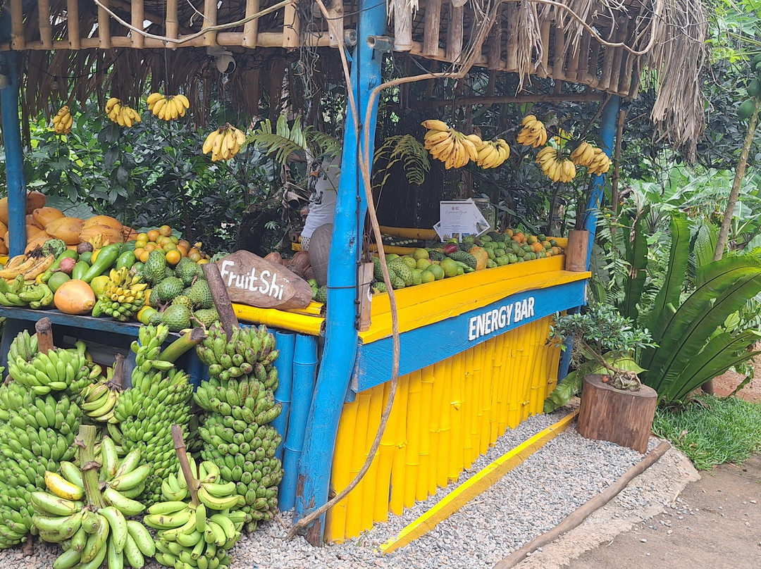 Vallée Des Fruits-大安塞区必去景点