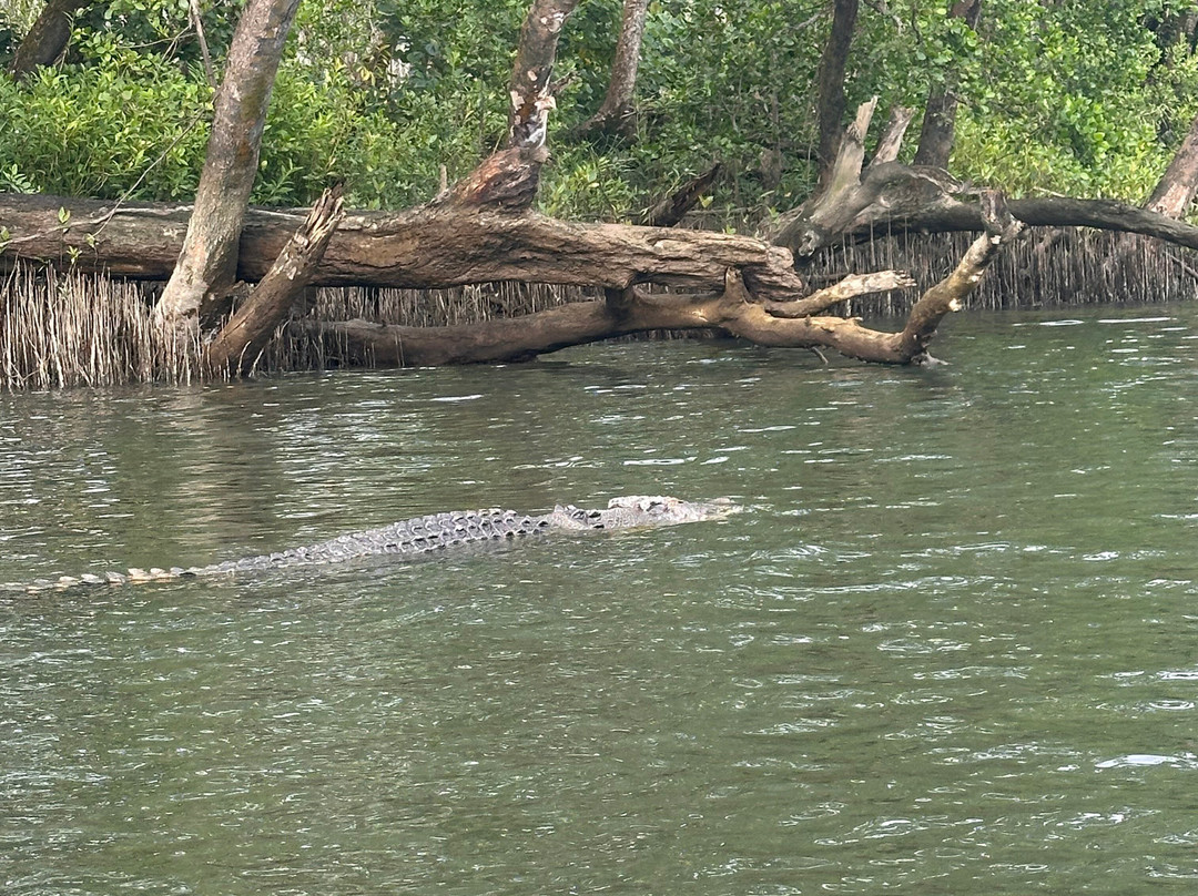 FNQ Nature Tours-凯恩斯必去景点