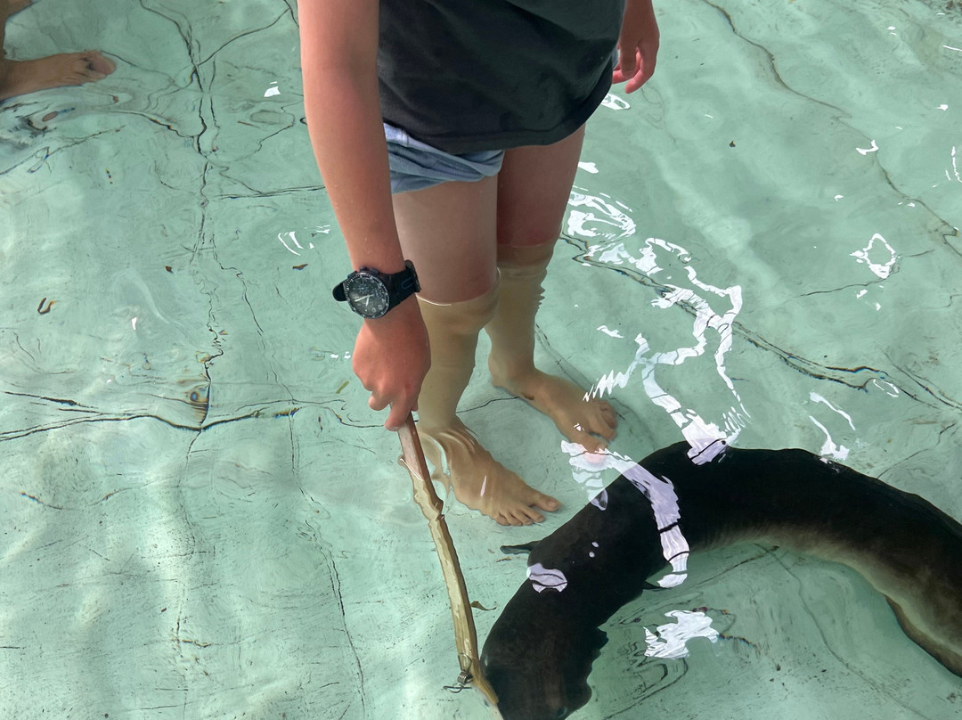 Port Stephens Animal Adventures-Bobs Farm必去景点