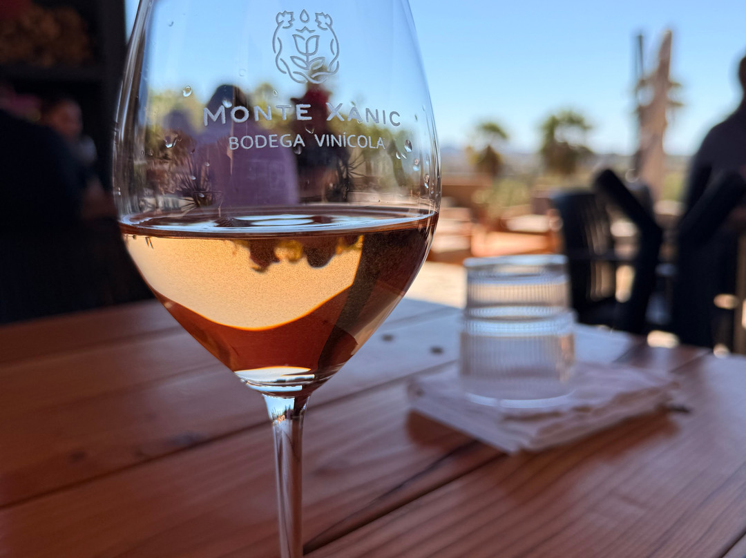 Monte Xanic Bodega Vinícola-Valle de Guadalupe必去景点