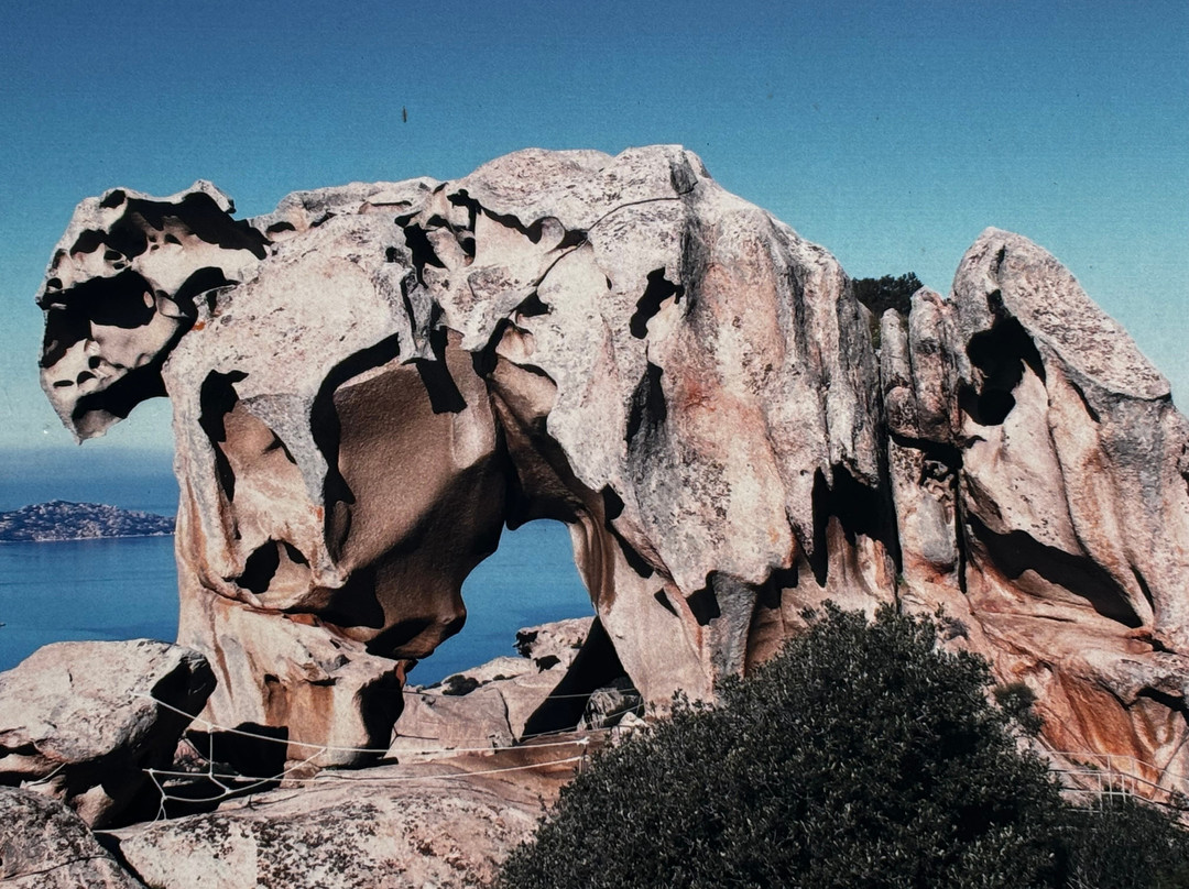 Roccia dell'Orso-帕劳必去景点