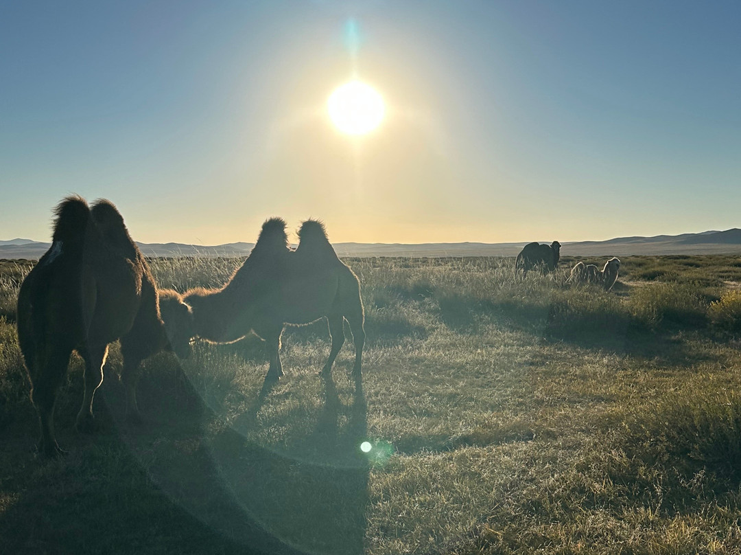 Mongolian Four Seasons Travel-乌兰巴托必去景点