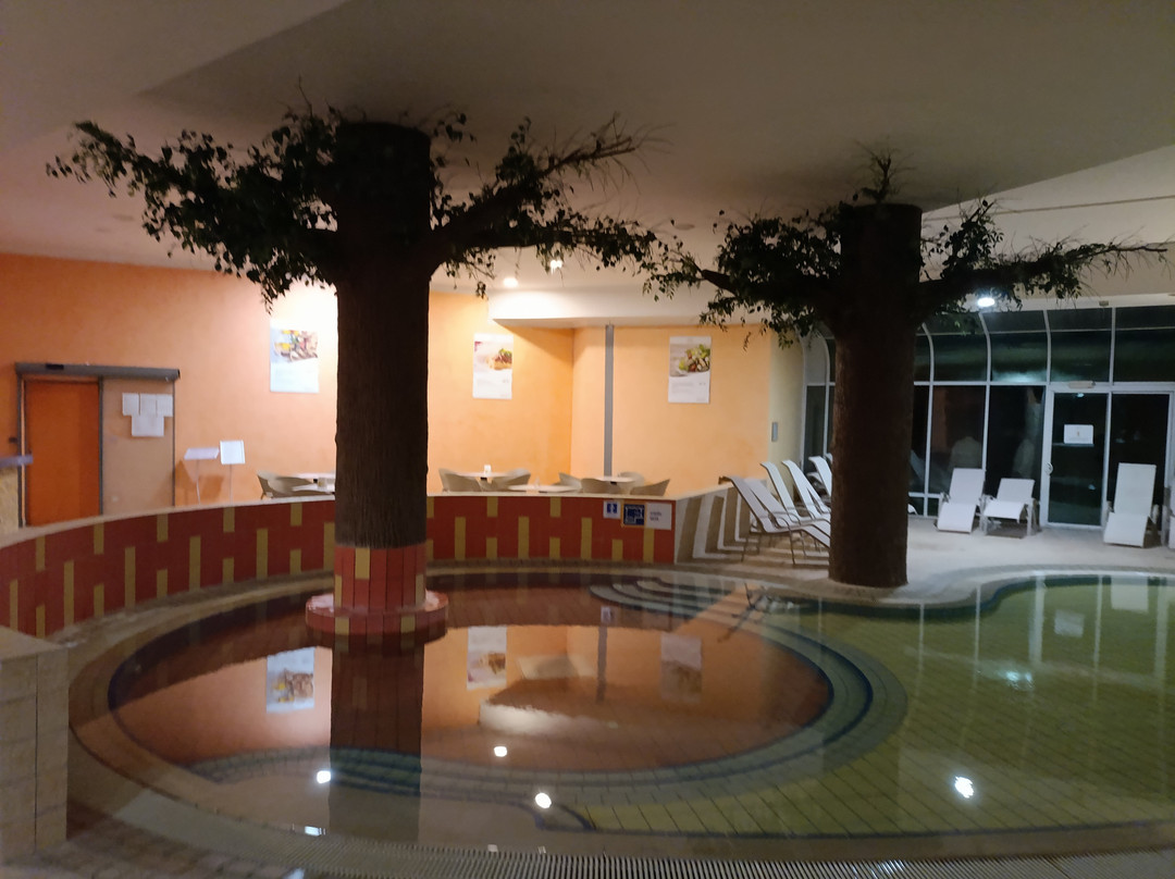 Terme Ptuj-普图伊必去景点