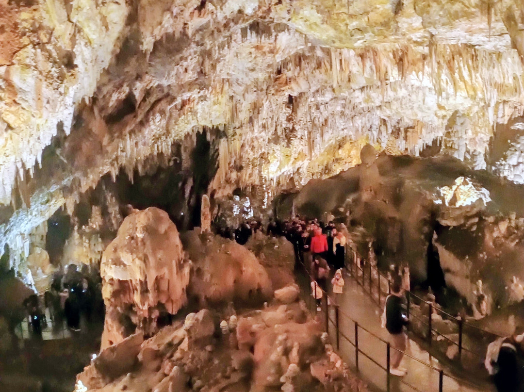 Postojna Cave-波斯托伊纳必去景点