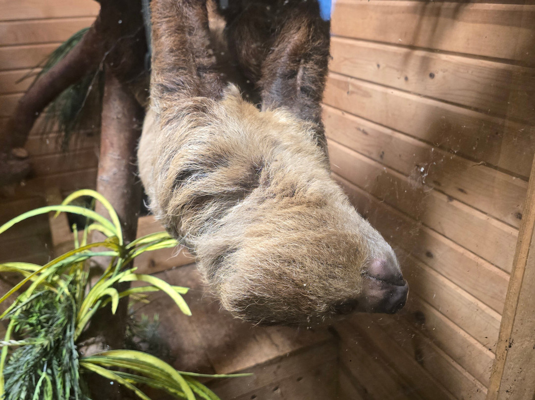 Safari Zoological Park-Caney必去景点