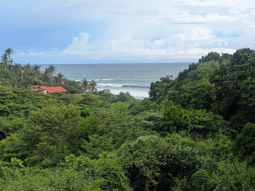 Barberyn Beach Ayurveda Resort主图