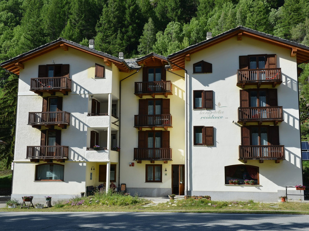 Residence Les Nigritelles