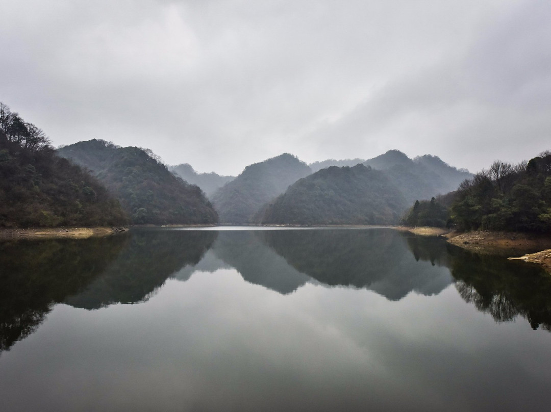 宽阔水原始森林景点图片