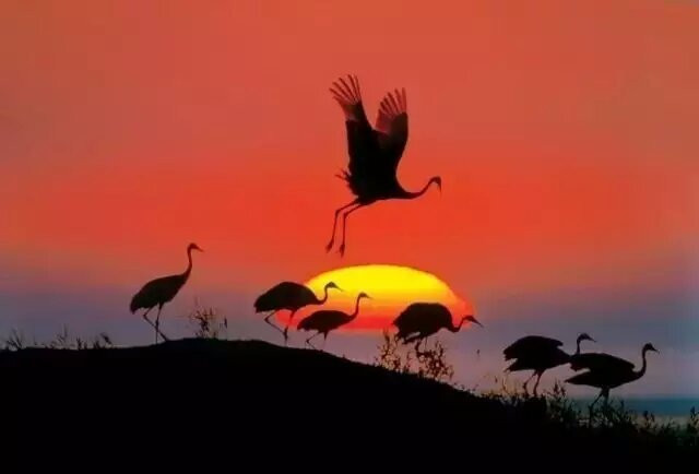 晋城陵川北吉祥寺-陵川县必去景点