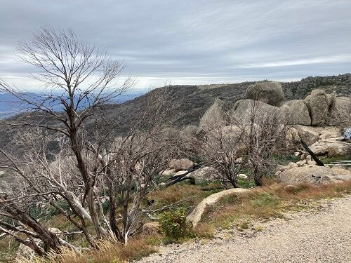The Horn-水牛山国家公园必去景点