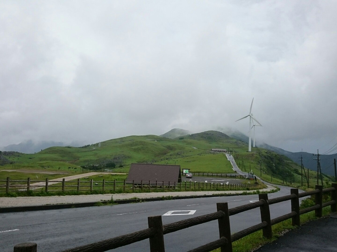 Mezuruso