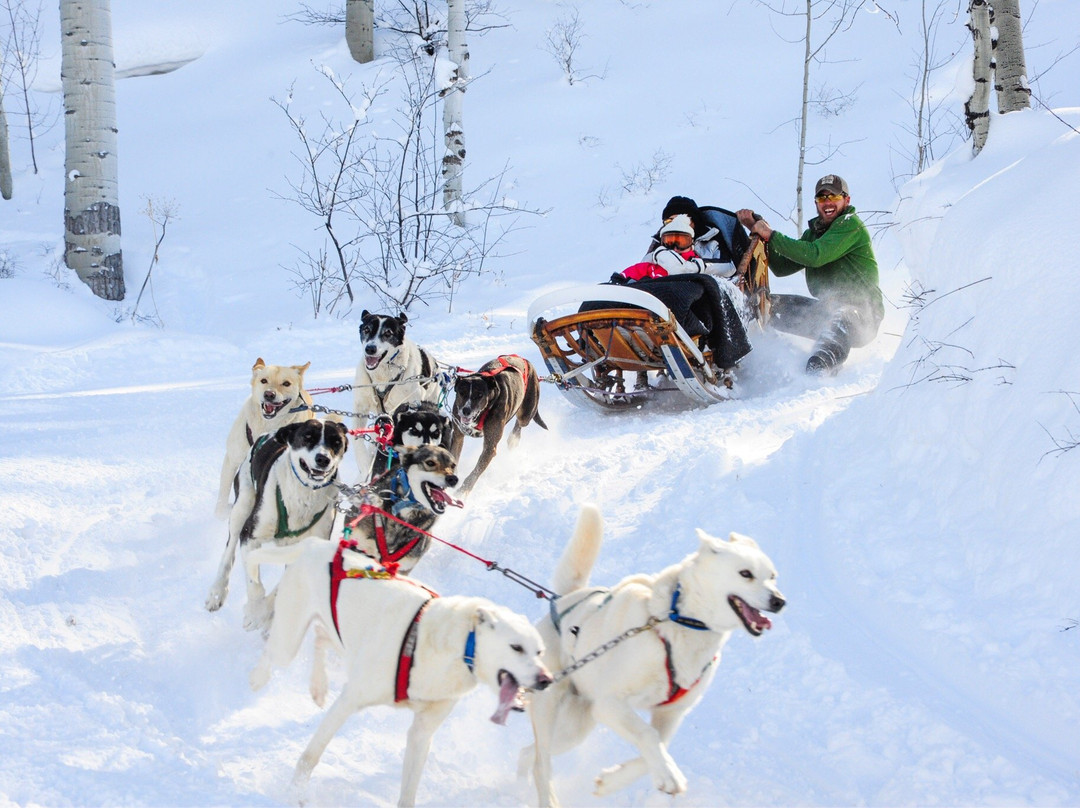 Krabloonik Dogsled Rides-斯诺马斯村必去景点