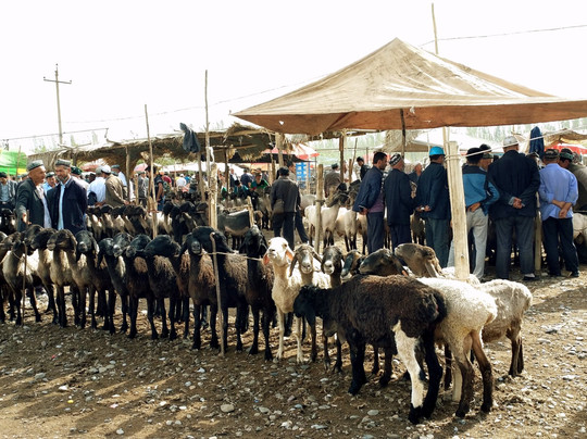 West China Expeditions