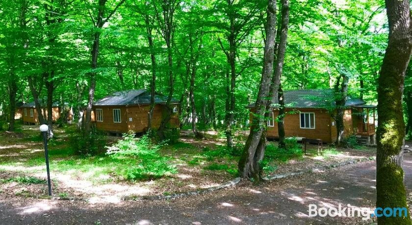 Ekran Eco Forest Resort