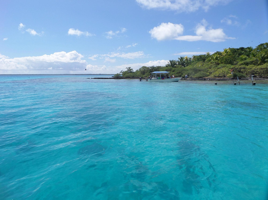 Tuamotu Archipelago旅游攻略图片