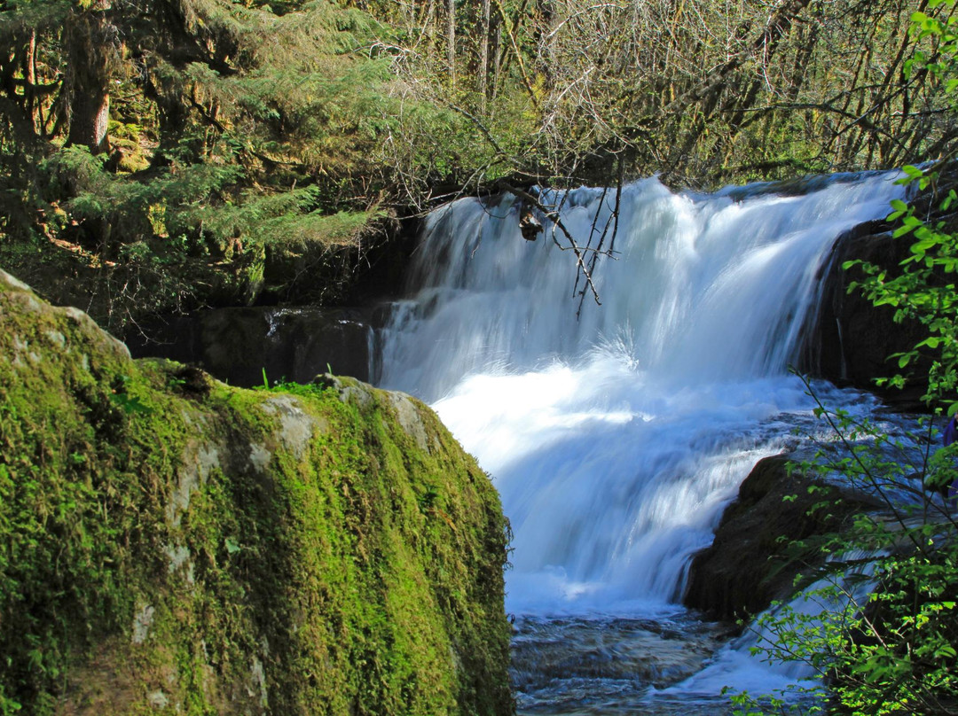 Alsea旅游攻略图片