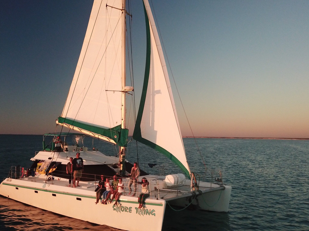 Sail Ningaloo - Shore Thing景点图片