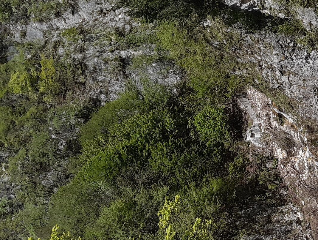 Passo della Borcola景点图片