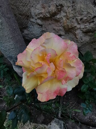 San Miguel-Maderuelo必去景点