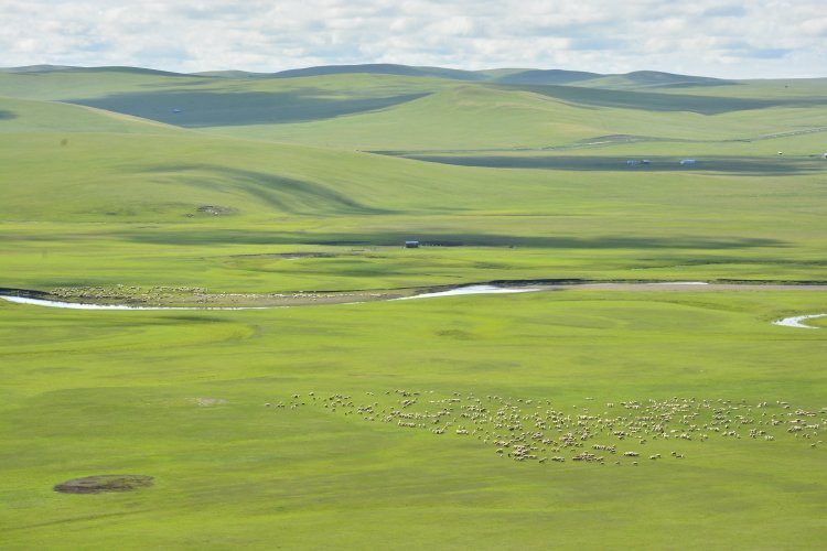莫日格勒河-呼伦贝尔市必去景点