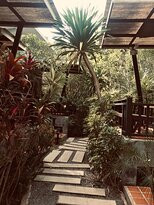 Dreamville Koh Phangan主图