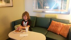 Springhill Suites By Marriott Orlando At Flamingo Crossings Town Center / Western Entrance-餐饮