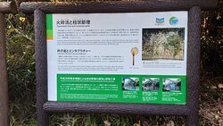 Deai Bridge & Todoro Bridge-丰后大野市必去景点