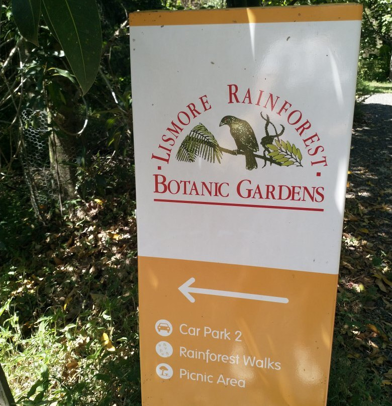 Lismore Rainforest Botanic Gardens-利斯莫尔必去景点