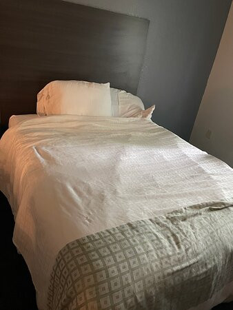 La Quinta Inn & Suites by Wyndham St. Augustine主图