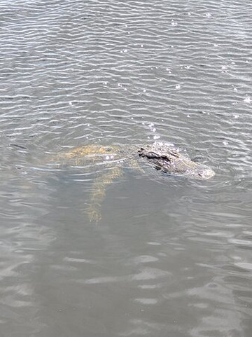 Adventure Paddle Tours-那不勒斯必去景点