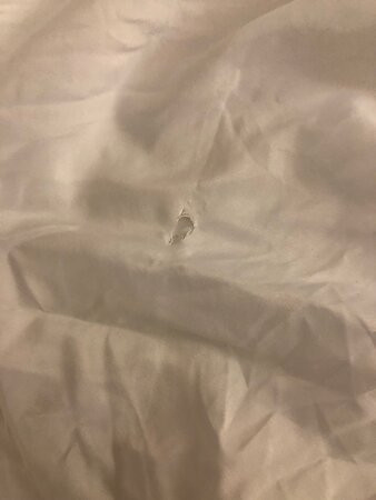 Quality Inn Oak Ridge主图