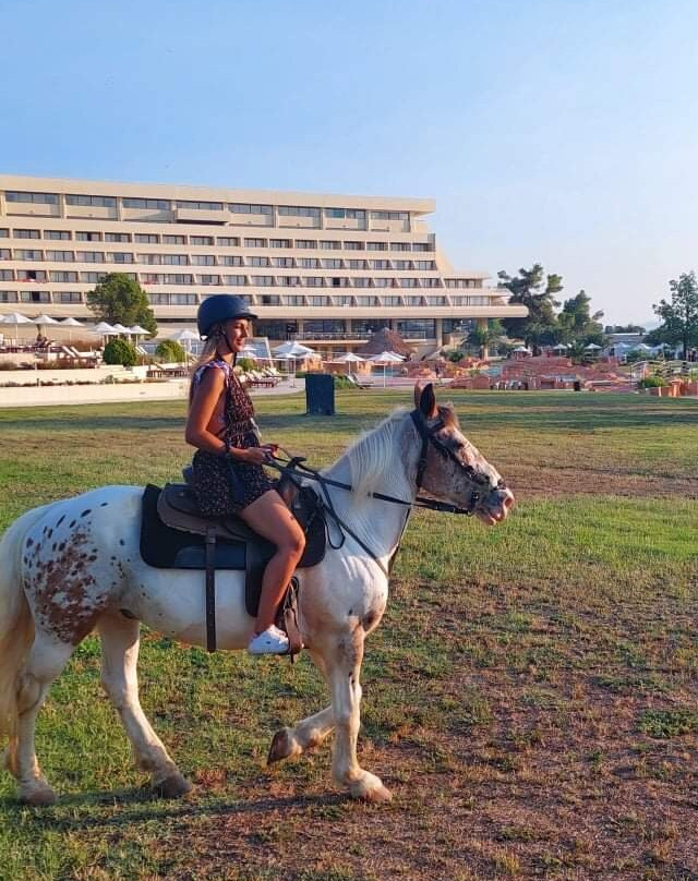 Ziogas Riding Center景点图片