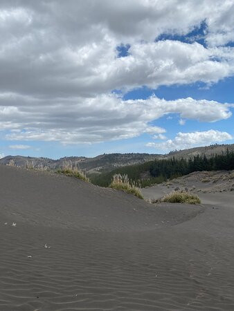 Desierto De Palmira-Chimborazo Province必去景点