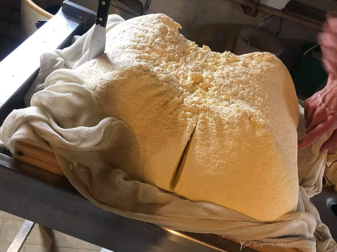 Fromagerie du Haut-Jura-Les Moussieres必去景点