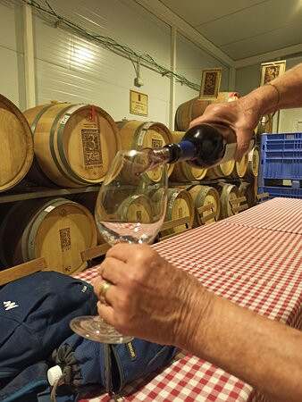 3 Vines Winery-Ramot Naftali必去景点