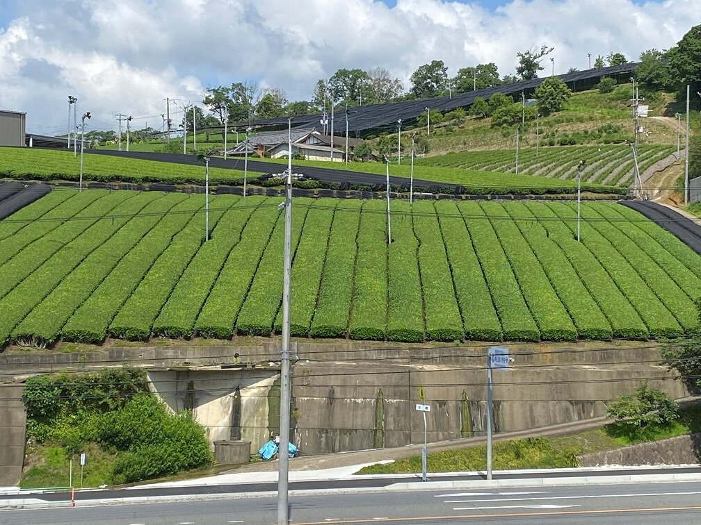 Fairfield By Marriott Kyoto Minamiyamashiro主图