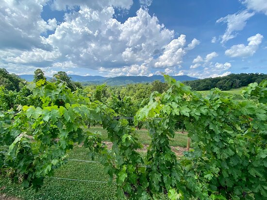 Addison Farms Vineyard-Leicester必去景点