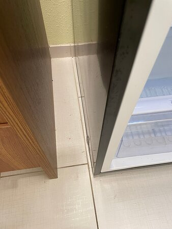 Home2 Suites By Hilton Savannah Airport主图