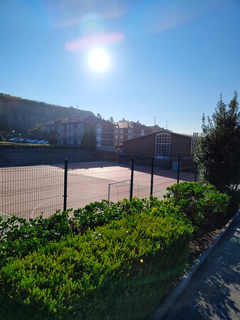 Rialta-官方