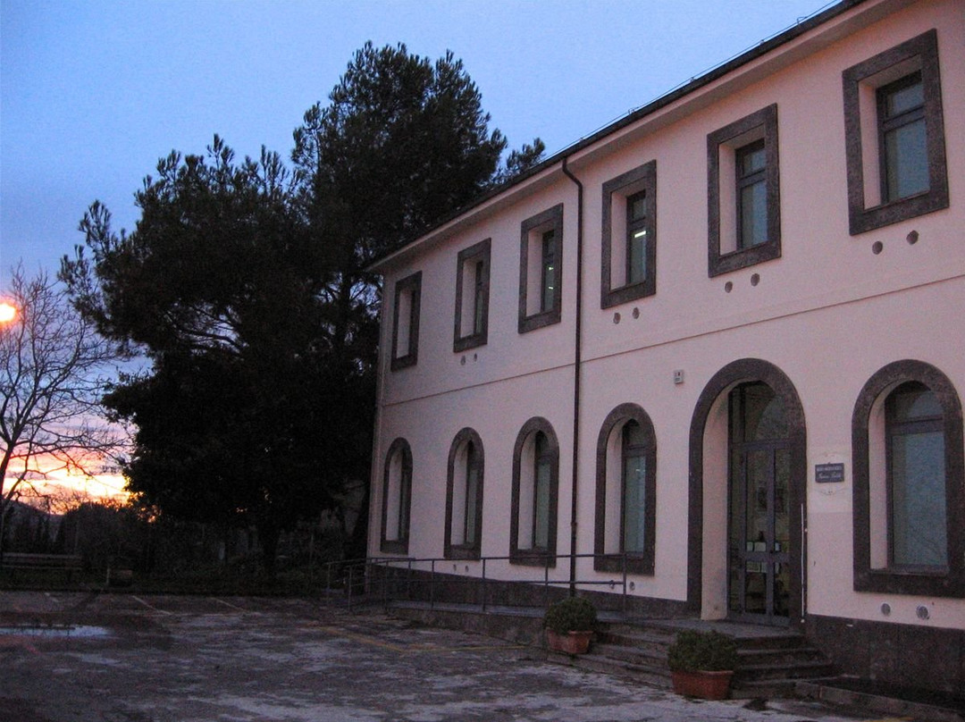 Museo Civico Archeologico Isidoro Falchi景点图片